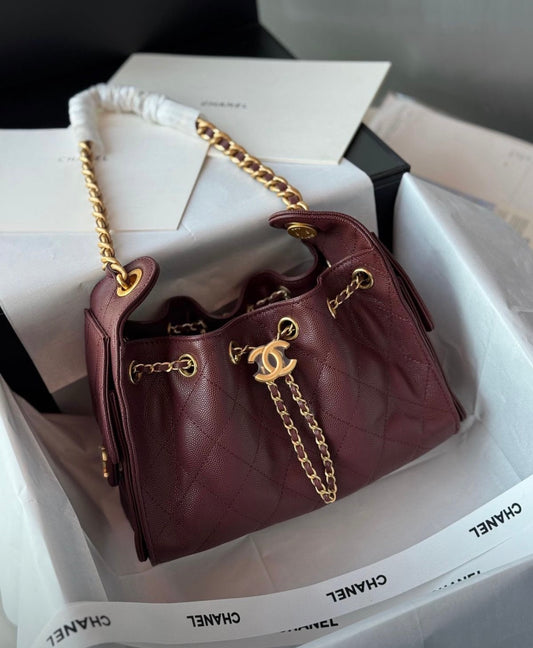 CHANEL 25 Hobo Mini With Brand Box