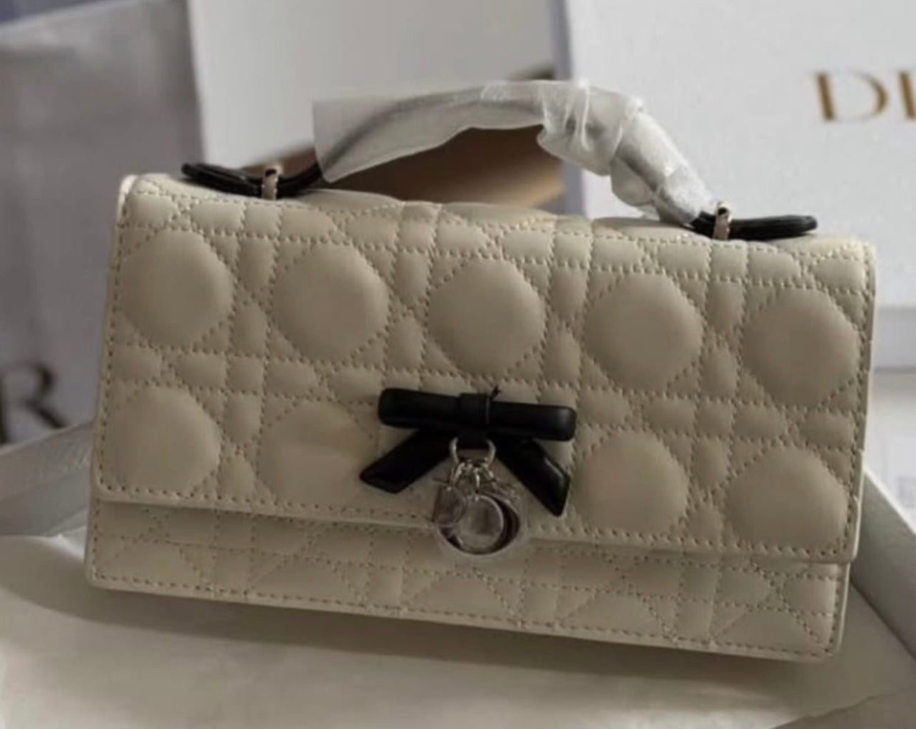 Dior Bag