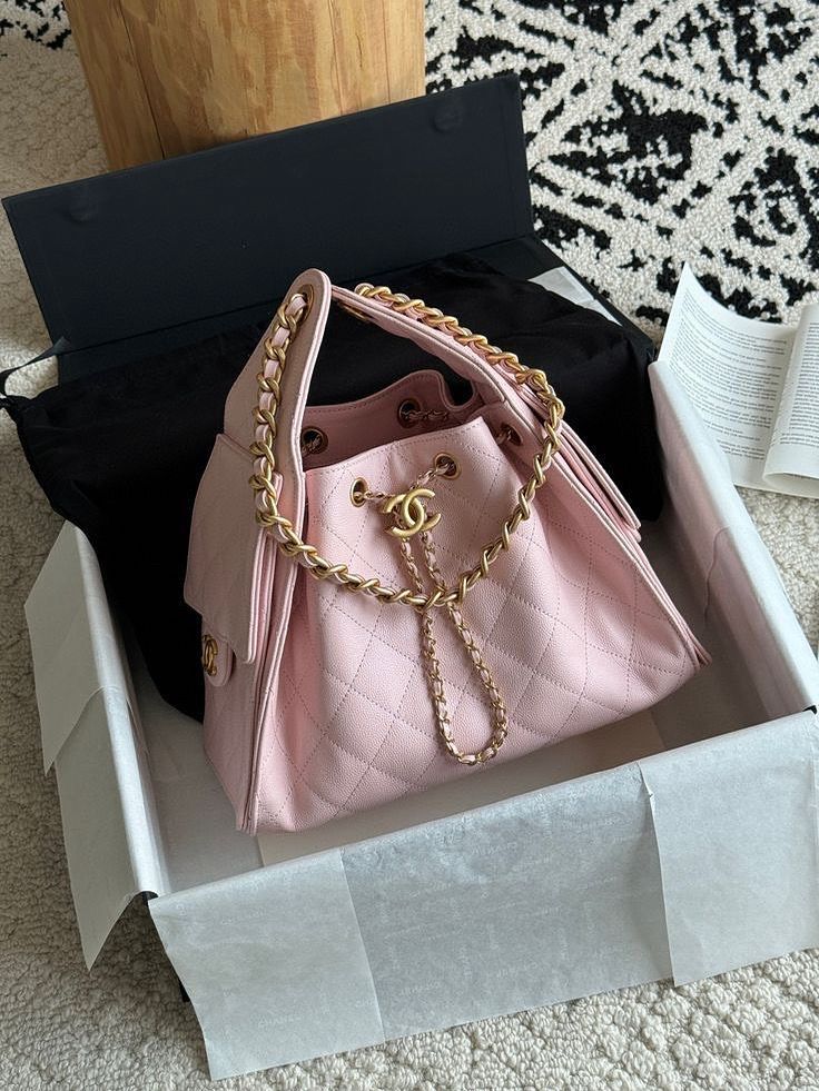 CHANEL 25 Hobo Small with Complete Packaging